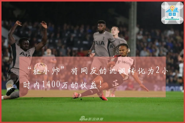 “杜小帅”将网友的讥讽转化为2小时内1400万的收益！