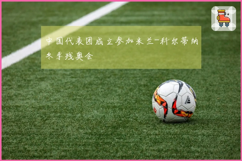 中国代表团成立参加米兰-科尔蒂纳冬季残奥会