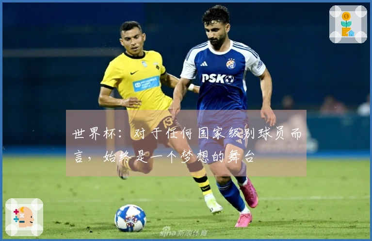 世界杯：对于任何国家级别球员而言，始终是一个梦想的舞台