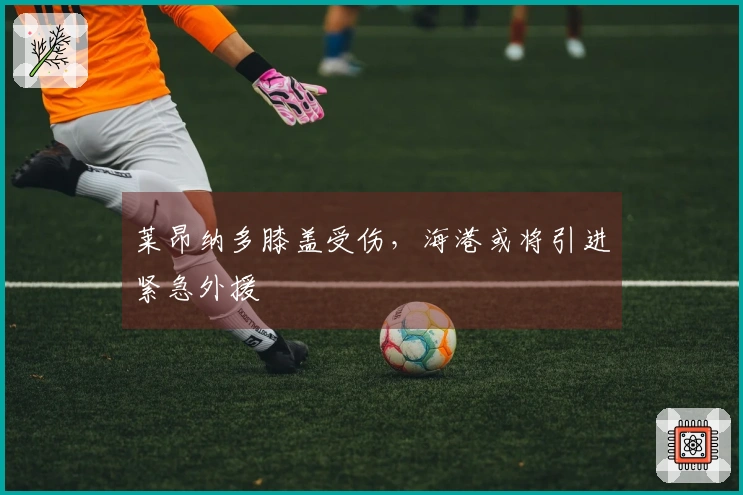 莱昂纳多膝盖受伤，海港或将引进紧急外援