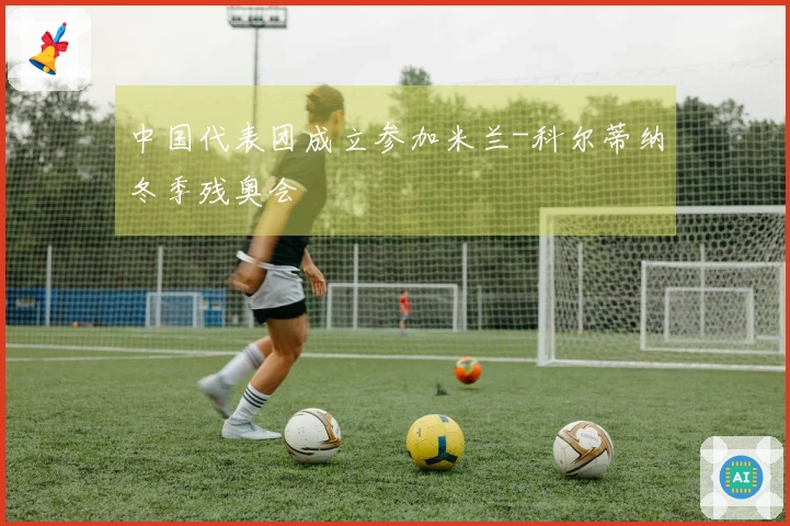 中国代表团成立参加米兰-科尔蒂纳冬季残奥会