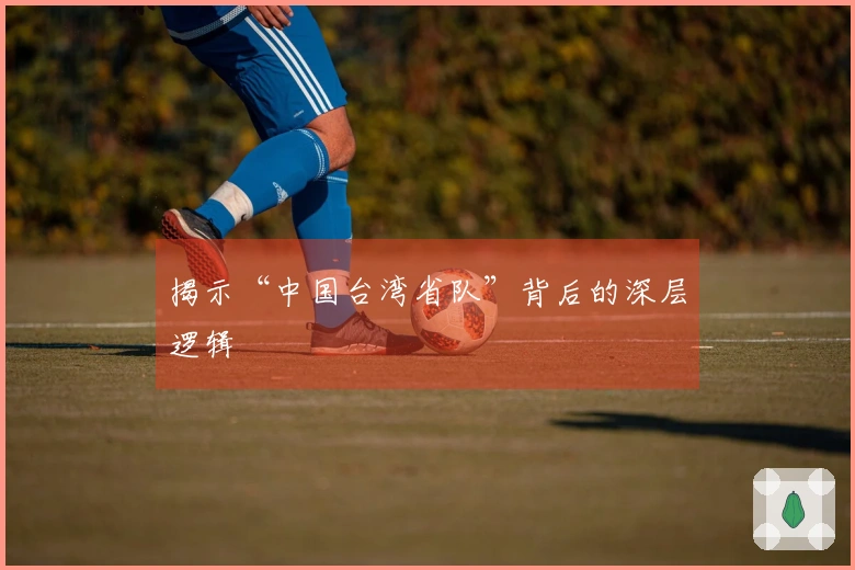 揭示“中国台湾省队”背后的深层逻辑